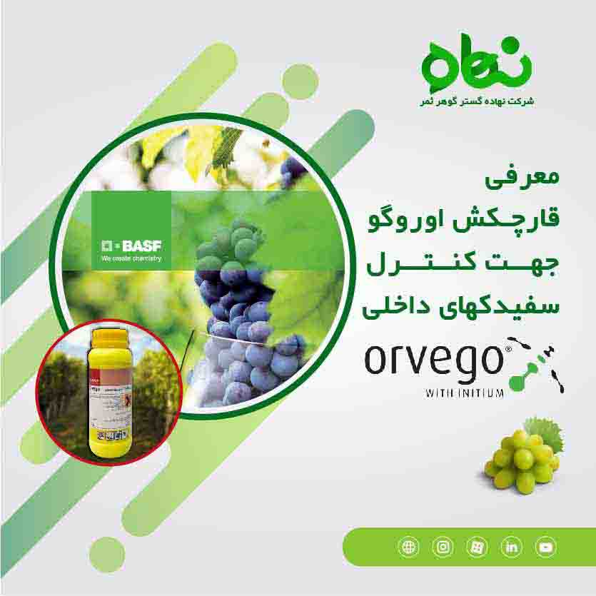 Introduction of Orvego fungicide to control indoor whiteflies